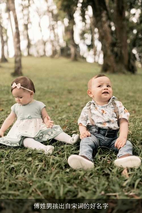 傅姓男孩出自宋词的好名字