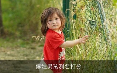 傅姓男孩测名打分