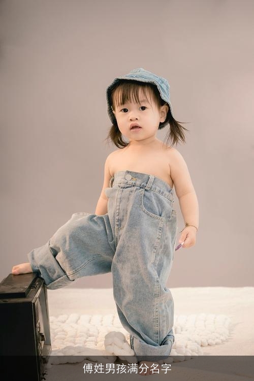 傅姓男孩满分名字