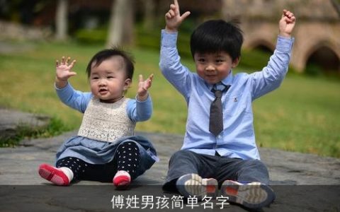 傅姓男孩简单名字