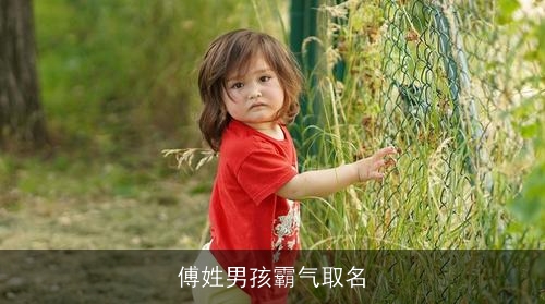 傅姓男孩霸气取名