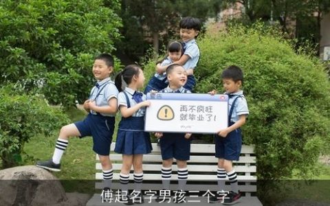 傅起名字男孩三个字