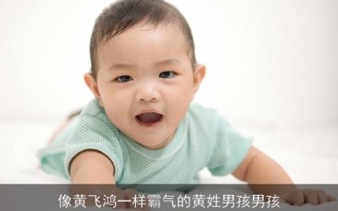 像黄飞鸿一样霸气的黄姓男孩男孩