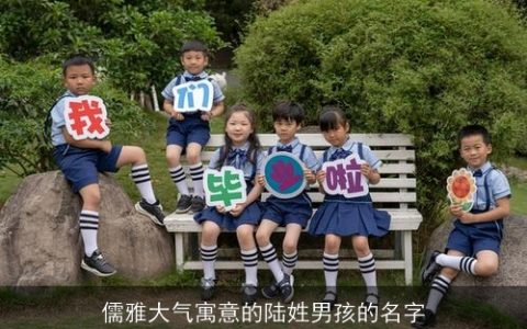 儒雅大气寓意的陆姓男孩的名字
