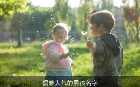 儒雅大气的男孩名字