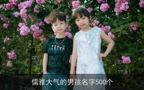 儒雅大气的男孩名字500个