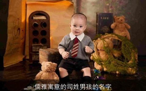 儒雅寓意的司姓男孩的名字