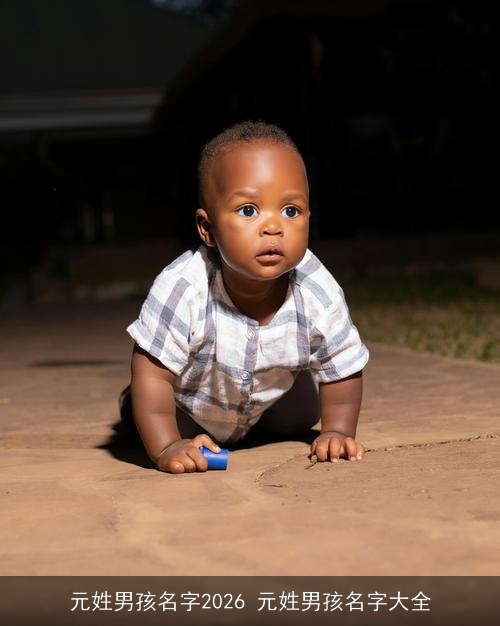 元姓男孩名字2026 元姓男孩名字大全