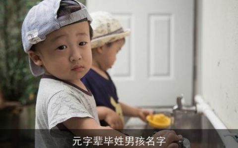 元字辈毕姓男孩名字