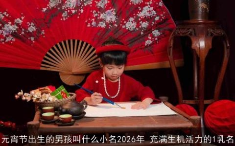 元宵节出生的男孩叫什么小名2026年 充满生机活力的1乳名