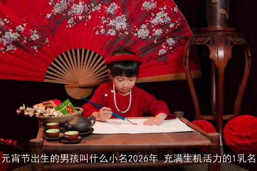 元宵节出生的男孩叫什么小名2026年 充满生机活力的1乳名