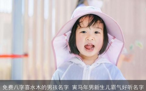免费八字喜水木的男孩名字 寅马年男新生儿霸气好听名字