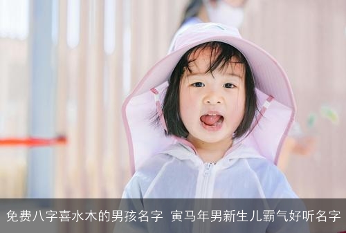 免费八字喜水木的男孩名字 寅马年男新生儿霸气好听名字