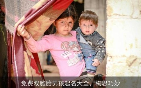 免费双胞胎男孩起名大全，构思巧妙