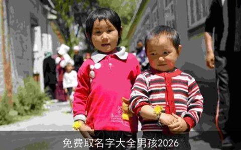 免费取名字大全男孩2026