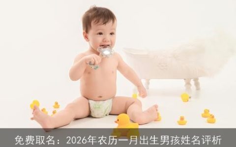 免费取名：2026年农历一月出生男孩姓名评析