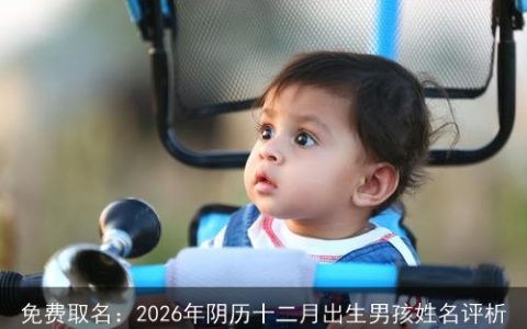 免费取名：2026年阴历十二月出生男孩姓名评析
