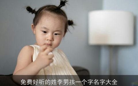 免费好听的姓李男孩一个字名字大全