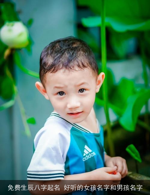 免费生辰八字起名 好听的女孩名字和男孩名字
