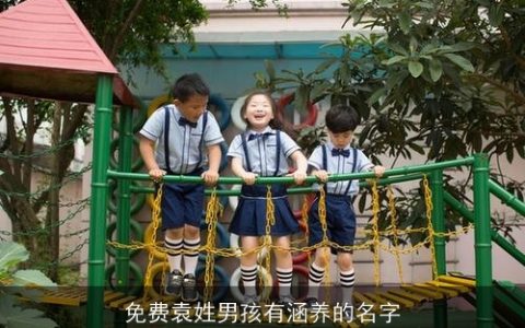 免费袁姓男孩有涵养的名字