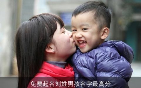 免费起名刘姓男孩名字最高分