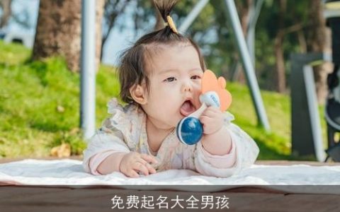 免费起名大全男孩