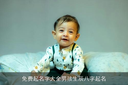免费起名字大全男孩生辰八字起名