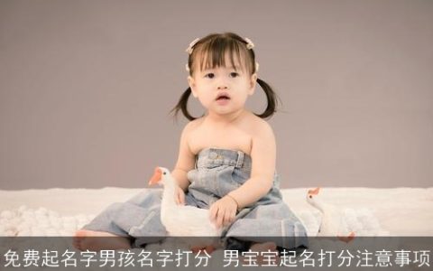 免费起名字男孩名字打分 男宝宝起名打分注意事项