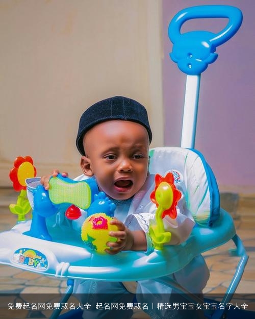 免费起名网免费取名大全 起名网免费取名｜精选男宝宝女宝宝名字大全