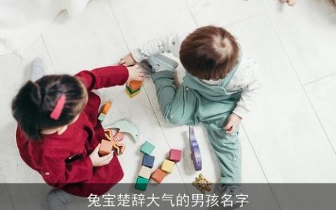 兔宝楚辞大气的男孩名字