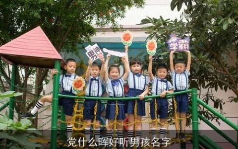 党什么晖好听男孩名字