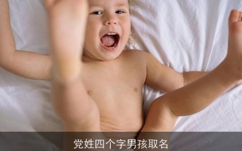 党姓四个字男孩取名