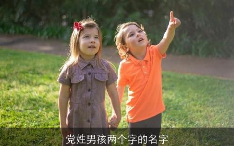 党姓男孩两个字的名字