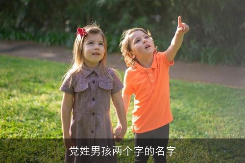 党姓男孩两个字的名字