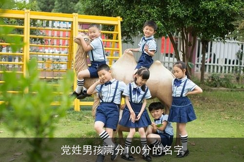 党姓男孩满分100分的名字