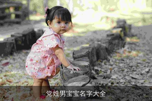 党姓男宝宝名字大全