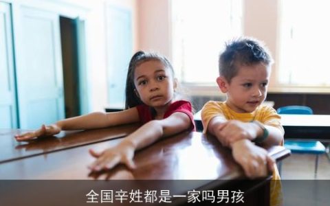 全国辛姓都是一家吗男孩