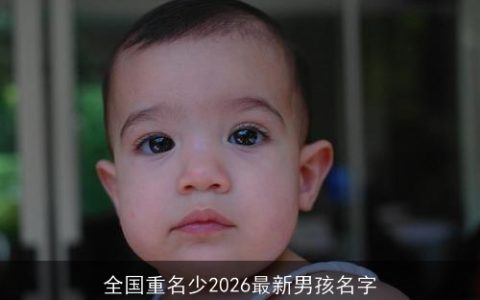 全国重名少2026最新男孩名字
