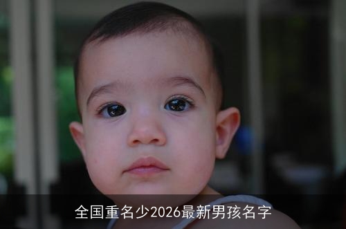 全国重名少2026最新男孩名字