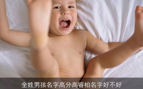 全姓男孩名字高分高睿柏名字好不好