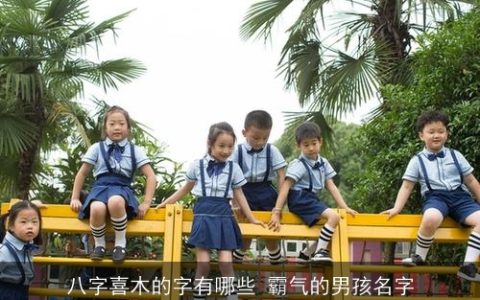 八字喜木的字有哪些 霸气的男孩名字