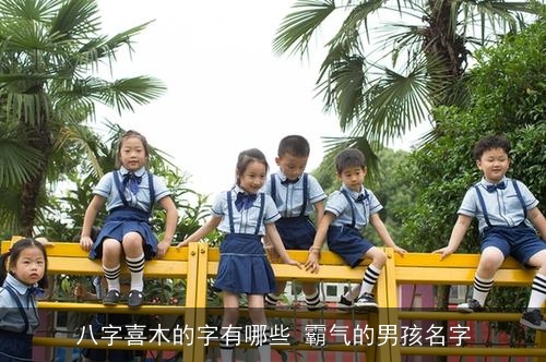 八字喜木的字有哪些 霸气的男孩名字