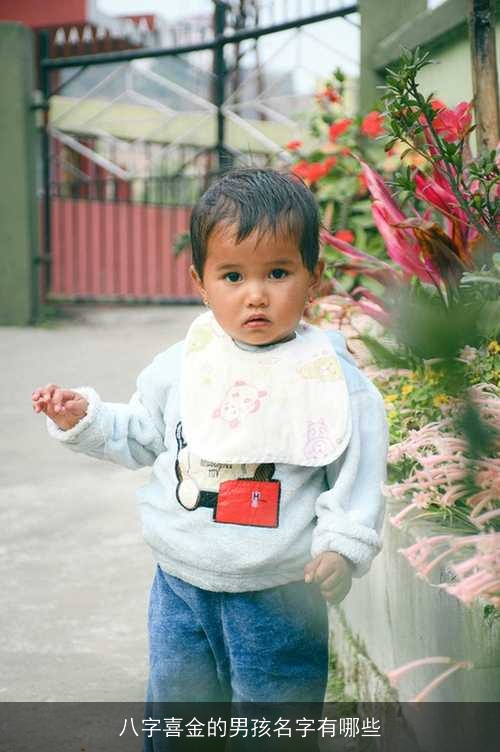 八字喜金的男孩名字有哪些