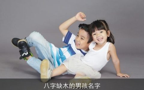 八字缺木的男孩名字