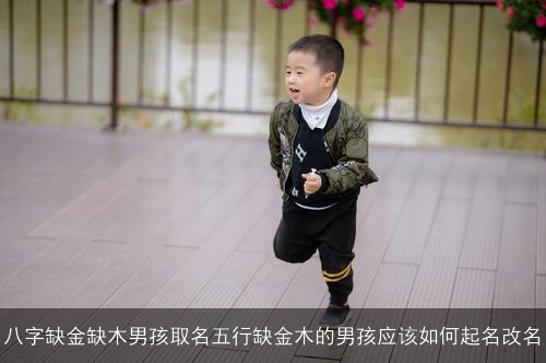 八字缺金缺木男孩取名五行缺金木的男孩应该如何起名改名