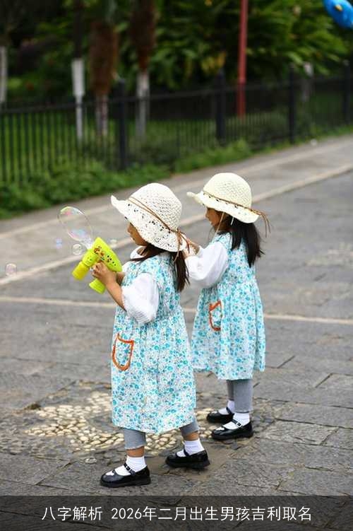 八字解析 2026年二月出生男孩吉利取名
