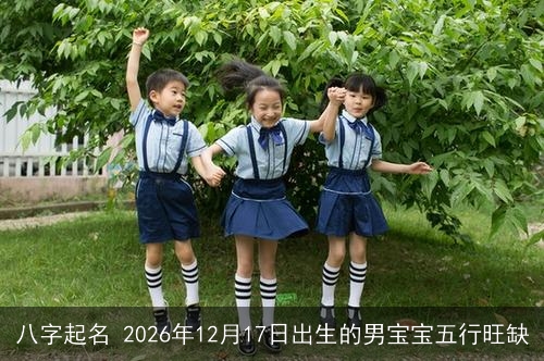 八字起名 2026年12月17日出生的男宝宝五行旺缺