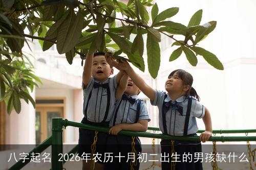 八字起名 2026年农历十月初二出生的男孩缺什么