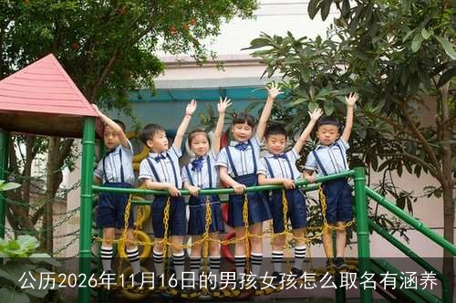 公历2026年11月16日的男孩女孩怎么取名有涵养