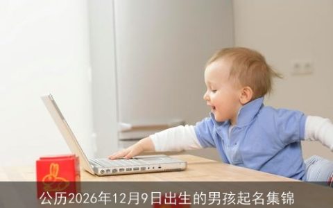 公历2026年12月9日出生的男孩起名集锦